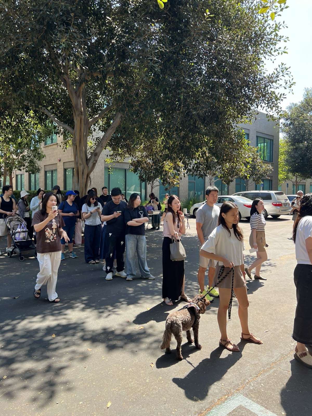 A long line of customers waiting on the sidewalk outside the food truck, one with a dog, on a sunny day.